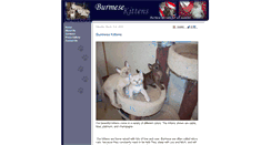 Desktop Screenshot of burmesekittens.net